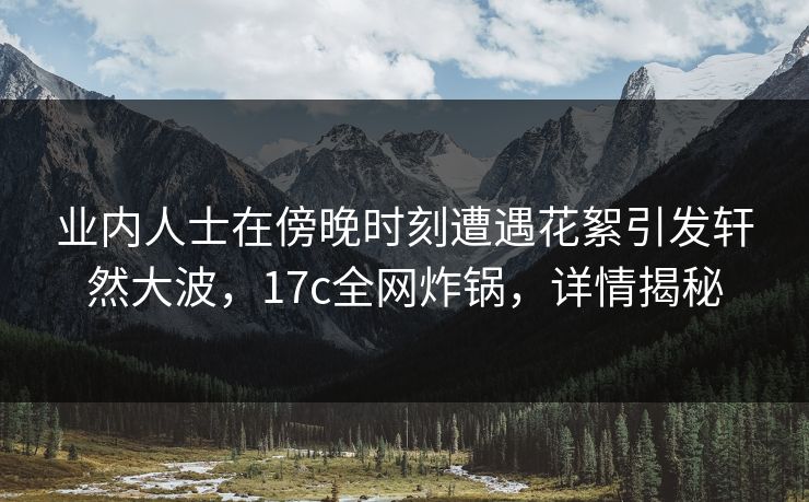 业内人士在傍晚时刻遭遇花絮引发轩然大波，17c全网炸锅，详情揭秘