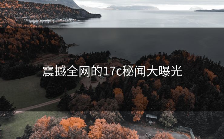 震撼全网的17c秘闻大曝光