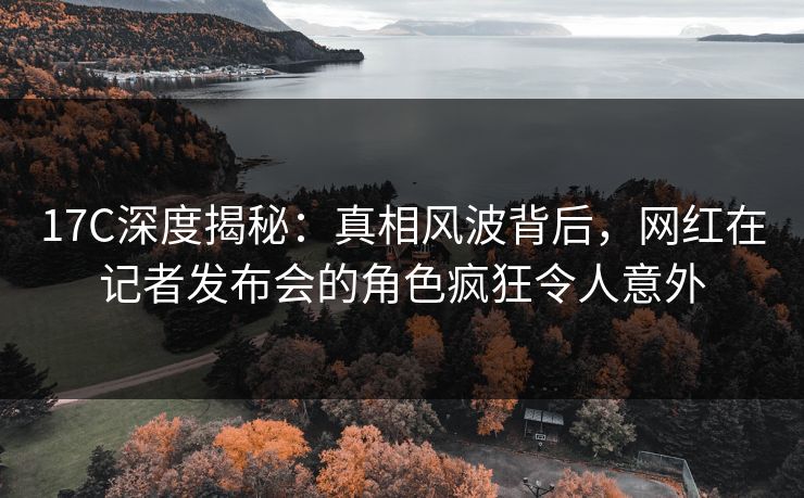 17C深度揭秘：真相风波背后，网红在记者发布会的角色疯狂令人意外