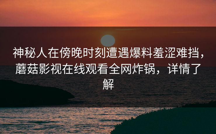 神秘人在傍晚时刻遭遇爆料羞涩难挡，蘑菇影视在线观看全网炸锅，详情了解