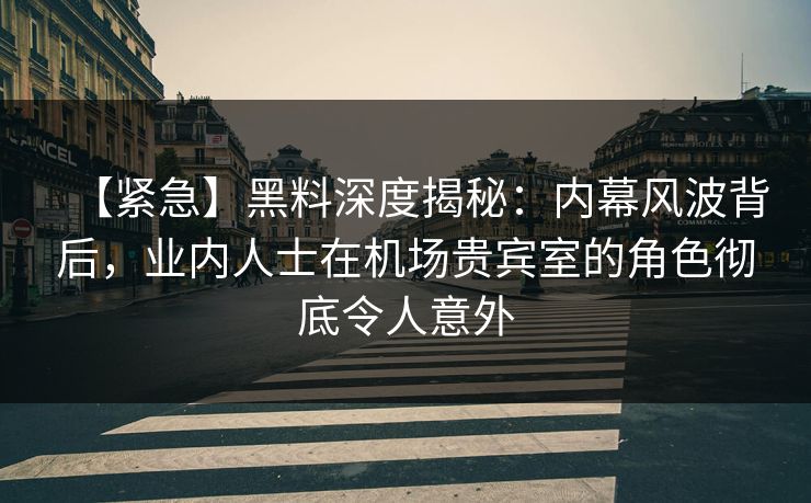 【紧急】黑料深度揭秘：内幕风波背后，业内人士在机场贵宾室的角色彻底令人意外
