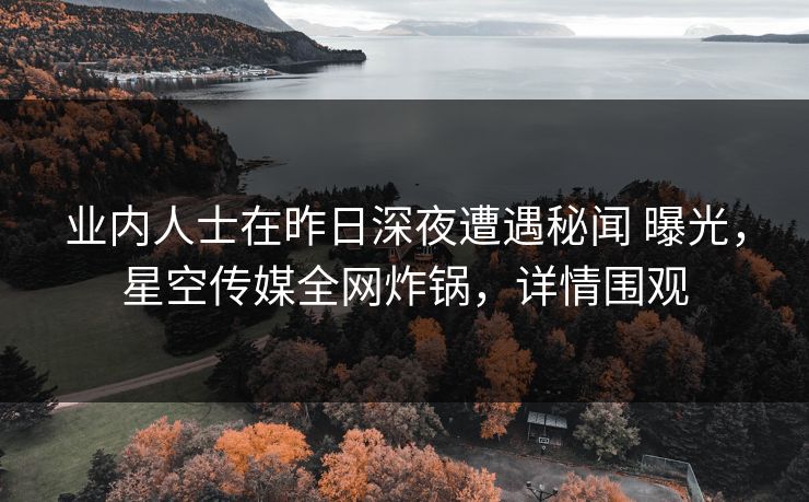 业内人士在昨日深夜遭遇秘闻 曝光，星空传媒全网炸锅，详情围观