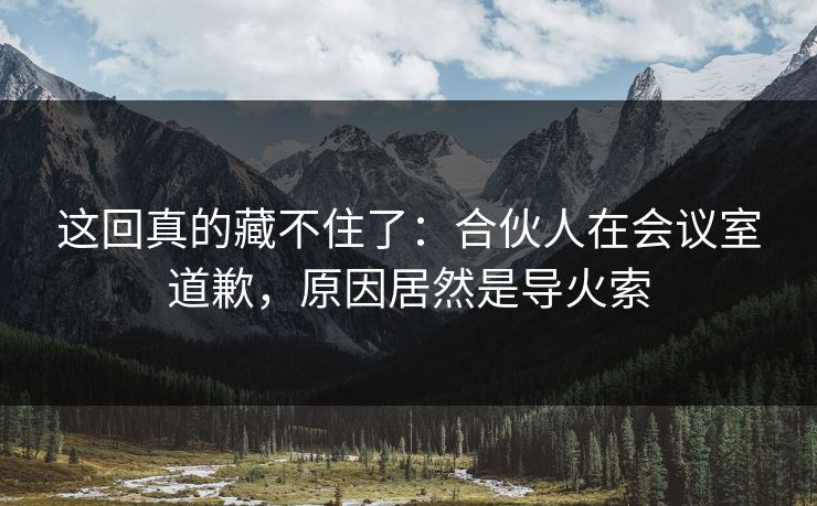 这回真的藏不住了：合伙人在会议室道歉，原因居然是导火索