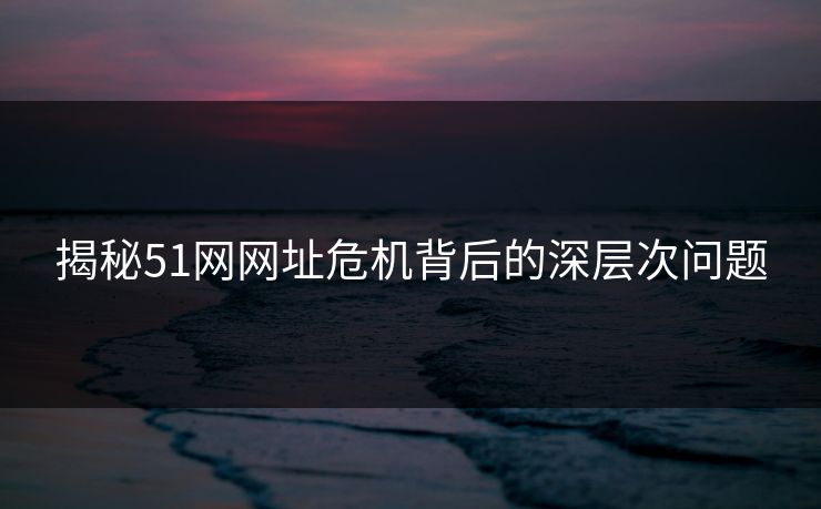 揭秘51网网址危机背后的深层次问题